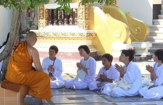 Explora Monk Chat - Foto 3