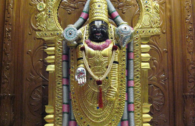 Excursión a Tirupati - Tour privado - Foto 3
