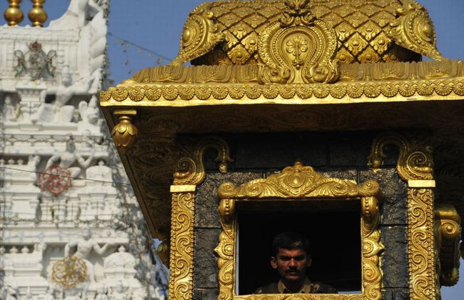 Excursión a Tirupati - Tour privado - Foto 6