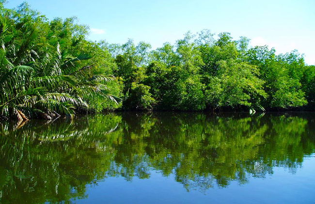 Safari por el río - Foto 3