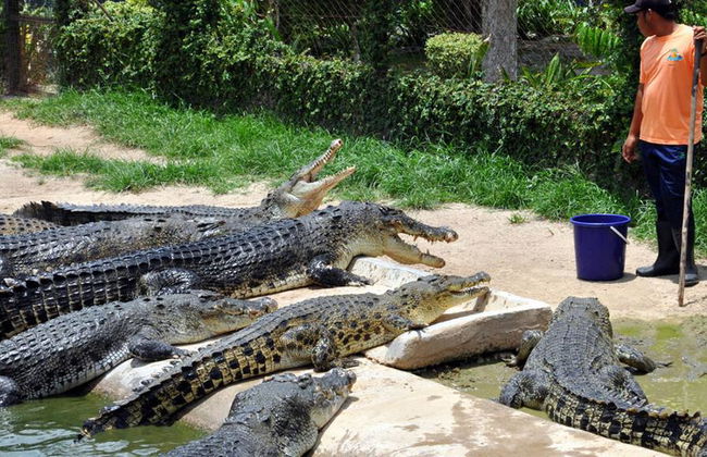 Descubre Langkawi - Excursión privada de medio día - Foto 5