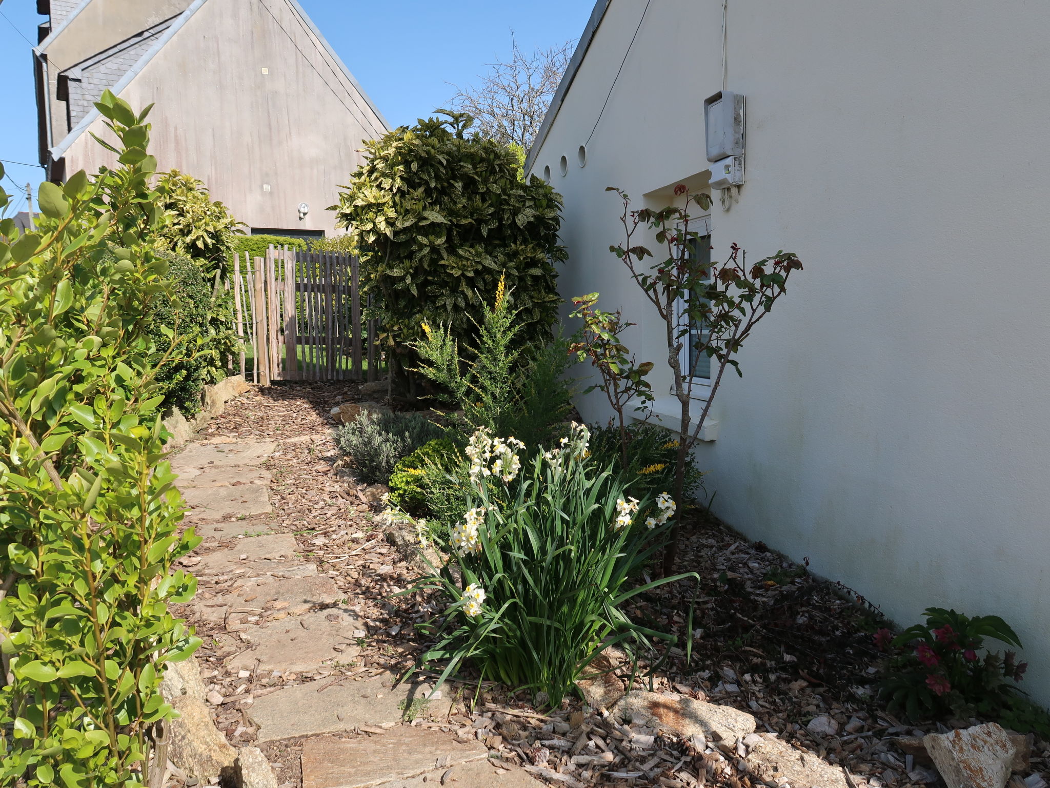 Foto 33 - Casa de 3 quartos em Plonéour-Lanvern com jardim e vistas do mar