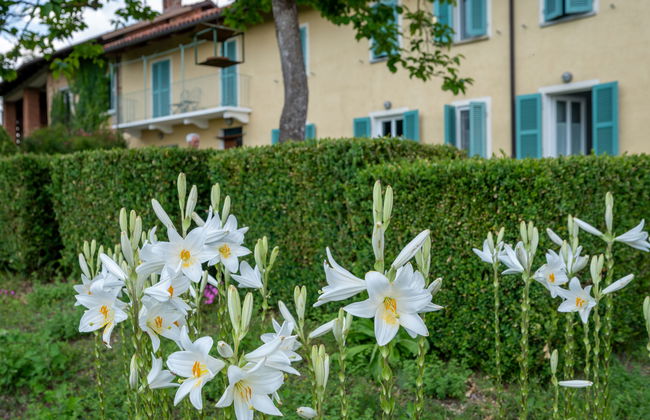 Casa de 1 quarto em Cortazzone com piscina e jardim - Foto 26