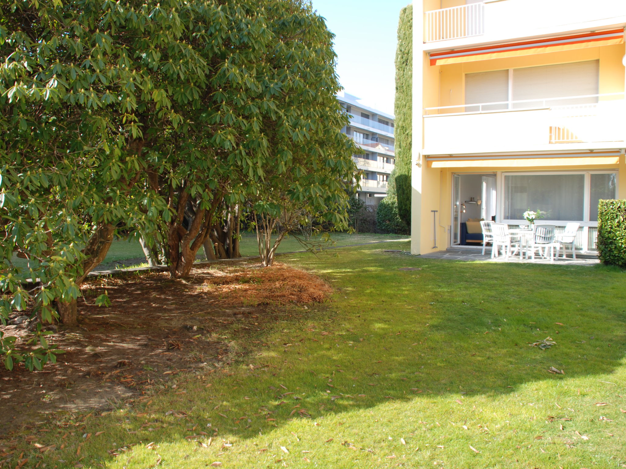 Photo 10 - Apartment in Locarno with garden and mountain view