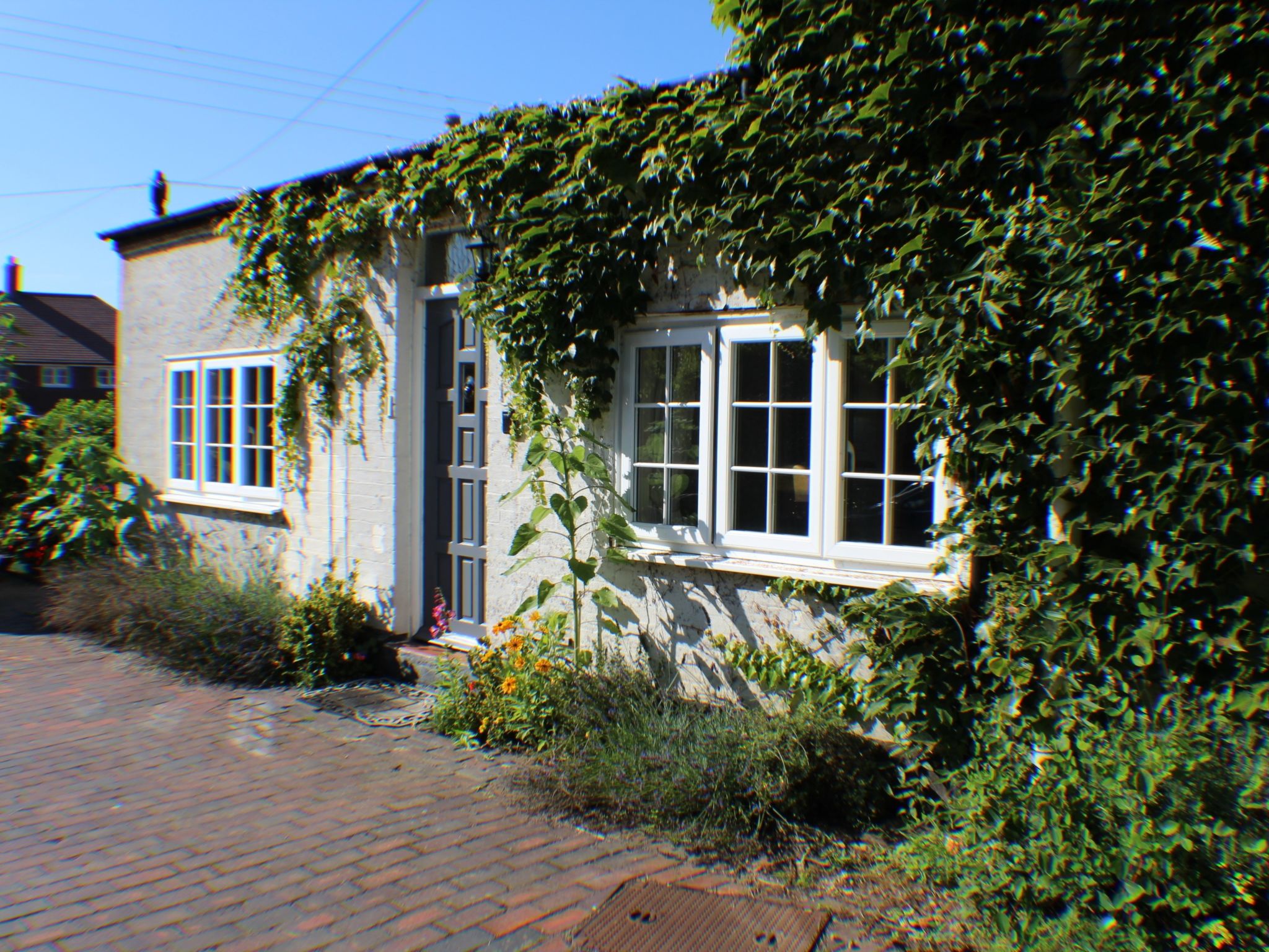 Photo 12 - Maison de 2 chambres à Tonbridge avec jardin