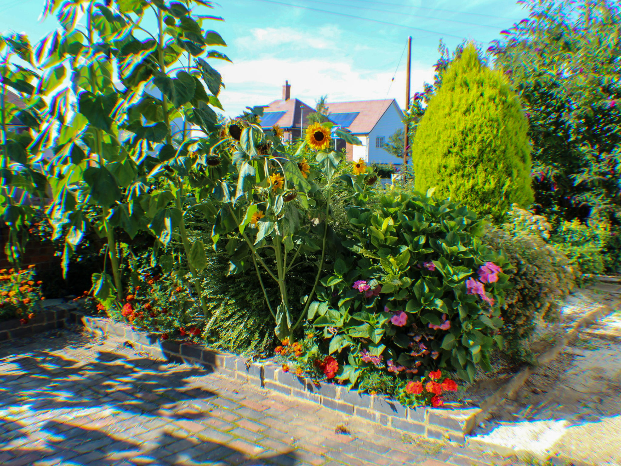 Foto 14 - Casa de 2 habitaciones en Tonbridge con jardín