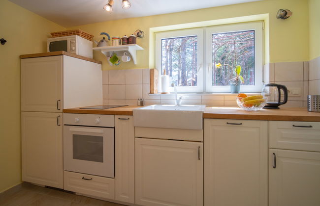 Casa de 1 quarto em Fužine com jardim e terraço - Foto 9