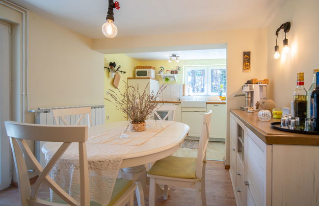 Casa de 1 quarto em Fužine com jardim e terraço - Foto 10