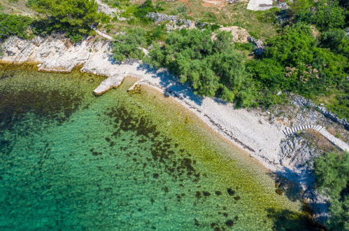 Photo 24 - Appartement de 1 chambre à Novigrad avec piscine et vues à la mer