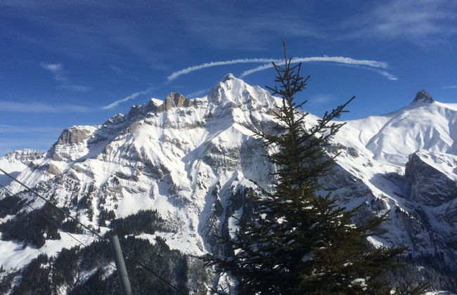 Apartamento de 2 quartos em Adelboden - Foto 35
