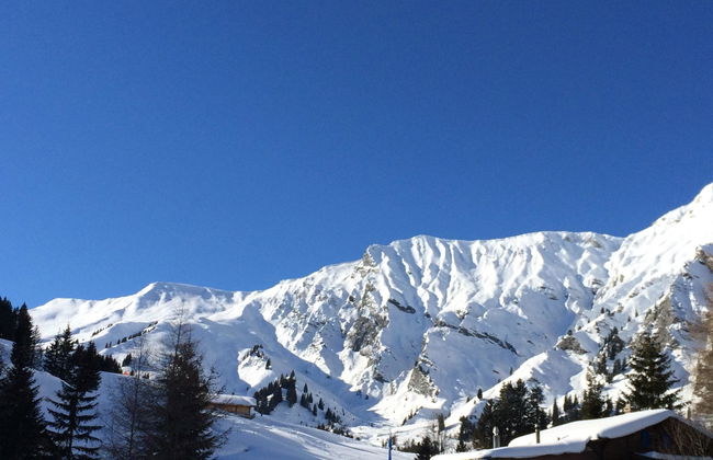 Apartamento de 2 quartos em Adelboden - Foto 44