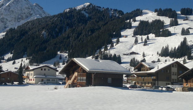 Apartment mit 2 Schlafzimmern in Adelboden - Foto 3