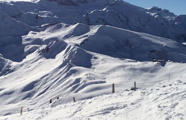 Apartamento de 2 quartos em Adelboden - Foto 45
