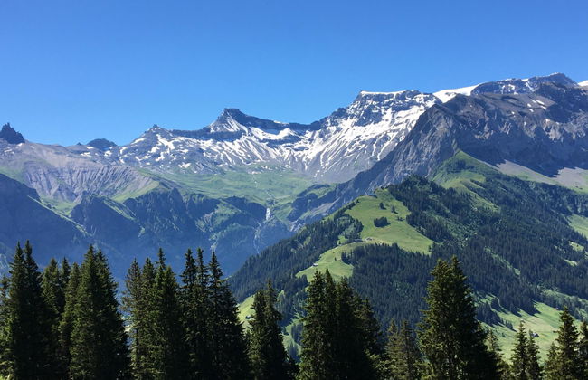 Apartamento de 2 quartos em Adelboden - Foto 26