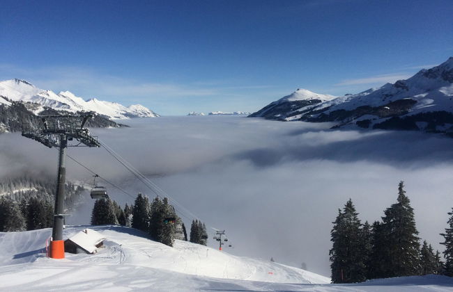 Apartamento de 2 quartos em Adelboden - Foto 40