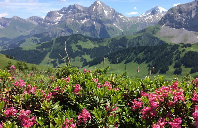 Apartamento de 2 quartos em Adelboden - Foto 18
