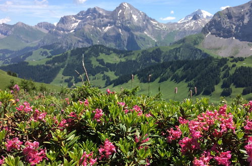 Photo 18 - 2 bedroom Apartment in Adelboden