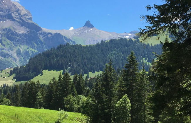 Apartamento de 2 quartos em Adelboden - Foto 25
