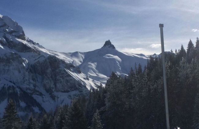 Apartamento de 2 quartos em Adelboden - Foto 37