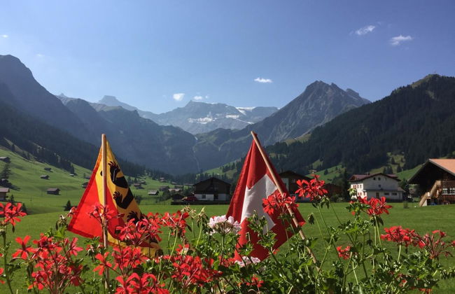 Apartamento de 2 quartos em Adelboden - Foto 8