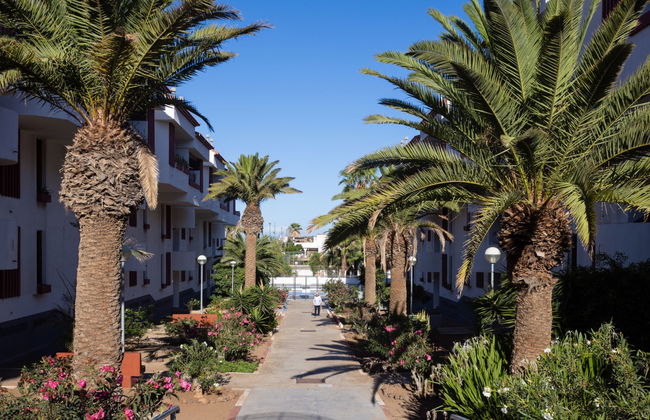 Apartment mit 3 Schlafzimmern in Arona mit schwimmbad und terrasse - Foto 30