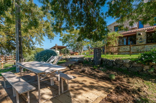 Photo 67 - Maison de 5 chambres à Roccalbegna avec piscine privée et jardin