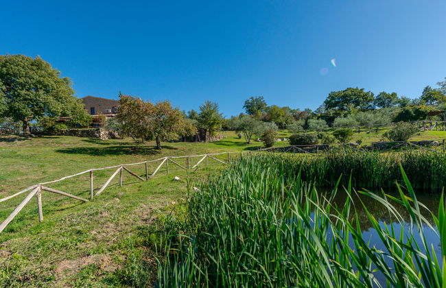 Casa de 4 quartos em Roccalbegna com piscina privada e jardim - Foto 67