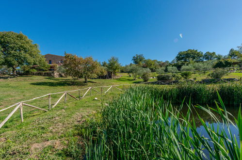 Foto 69 - Casa de 4 quartos em Roccalbegna com piscina privada e jardim