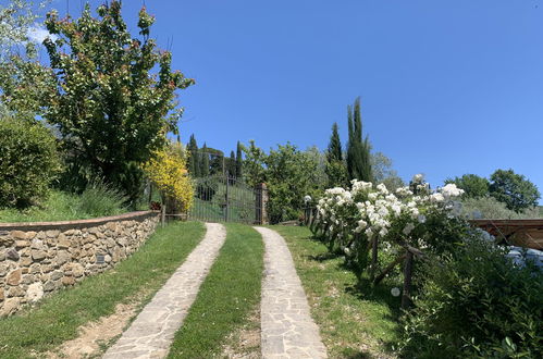 Foto 75 - Appartamento con 2 camere da letto a Greve in Chianti con piscina e giardino