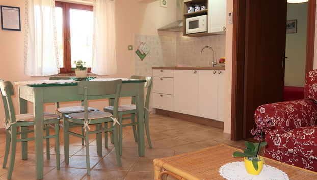 3 bedroom House in Marčana with garden and terrace - Photo 4