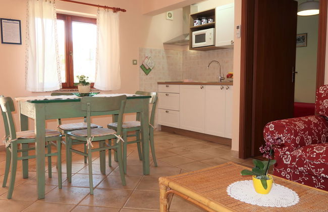 Casa de 3 quartos em Marčana com jardim e terraço - Foto 4