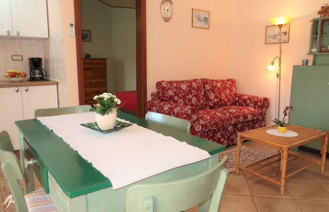 Casa de 3 quartos em Marčana com jardim e terraço - Foto 6