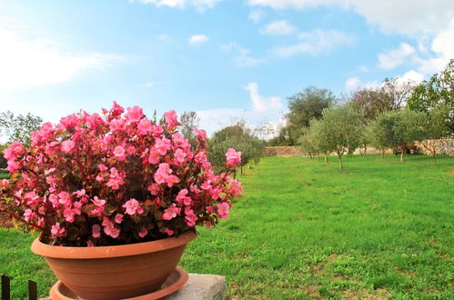 Foto 10 - Casa de 2 quartos em Marčana com jardim e terraço