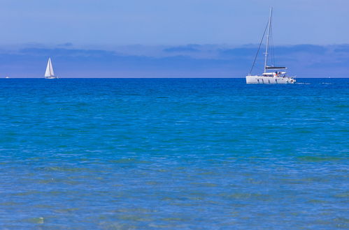 Photo 39 - 2 bedroom Apartment in San Vincenzo with sea view