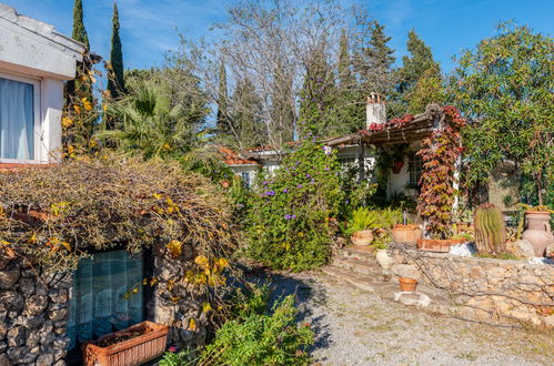 Photo 21 - Maison de 1 chambre à Monte Argentario avec piscine et jardin