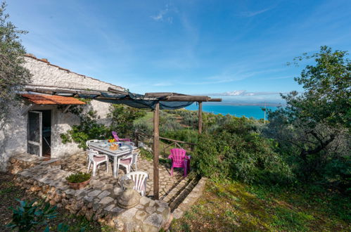 Foto 20 - Casa de 2 habitaciones en Monte Argentario con piscina y vistas al mar