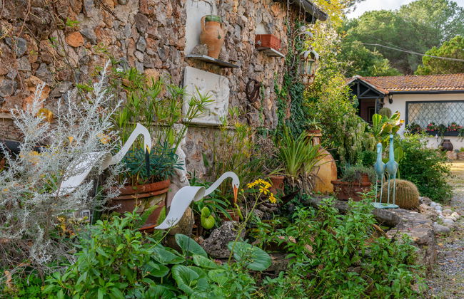 Casa de 2 quartos em Monte Argentario com piscina e jardim - Foto 31