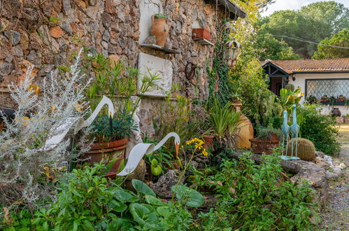 Foto 43 - Haus mit 2 Schlafzimmern in Monte Argentario mit schwimmbad und garten