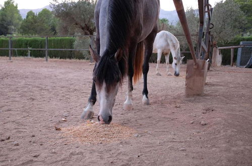 Photo 2 - Casa Rural Aire