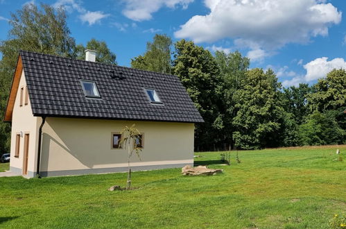 Photo 19 - Maison de 1 chambre à Stráž nad Nežárkou avec jardin et terrasse