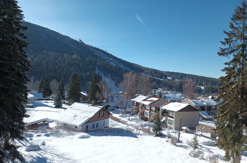 Photo 19 - Appartement de 2 chambres à Harrachov avec jardin