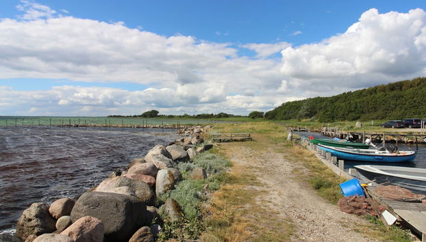 1 bedroom House in Svendborg with terrace - Photo 3
