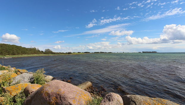 1 bedroom House in Svendborg with terrace - Photo 2