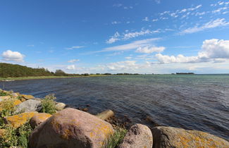 Photo 2 - 1 bedroom House in Svendborg with terrace