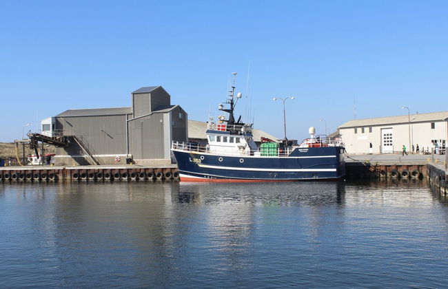 3 bedroom House in Ulfborg with terrace - Photo 23