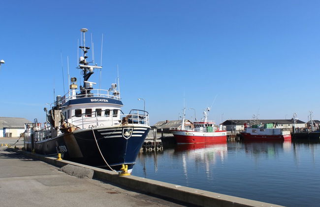 3 bedroom House in Ulfborg with terrace - Photo 21