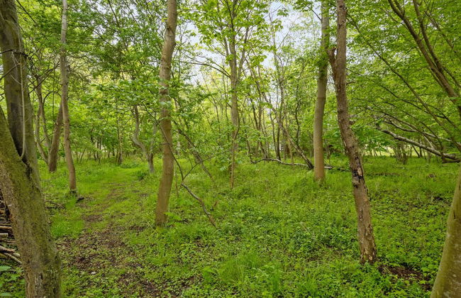 "Thrugels" - 200m from the sea - Foto 17
