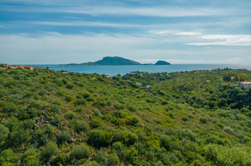 Foto 33 - Casa con 3 camere da letto a Golfo Aranci con terrazza e vista mare