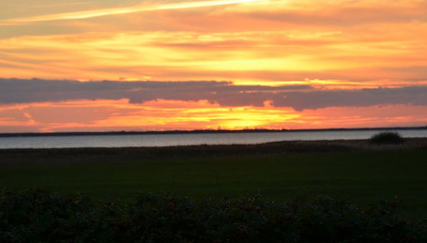 Haus mit 3 Schlafzimmern in Vemb mit terrasse - Foto 3