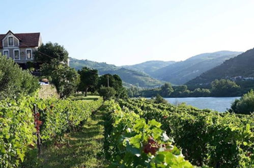 Photo 107 - Quinta de S. Bernardo Winery & Farmhouse